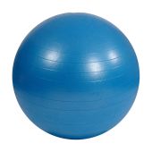 msd-balance-trainer-blue