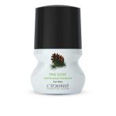 دئودورانت مردانه با رایحه کاج Pine Scent سینره حجم 50 میلی لیتر