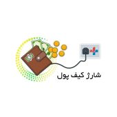 کیف پول 300هزار تومانی