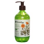 handology-hand-wash-aromatic-green-500ml1