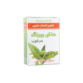 پودر حنا سنتی بیرنگ دیجی نلا 