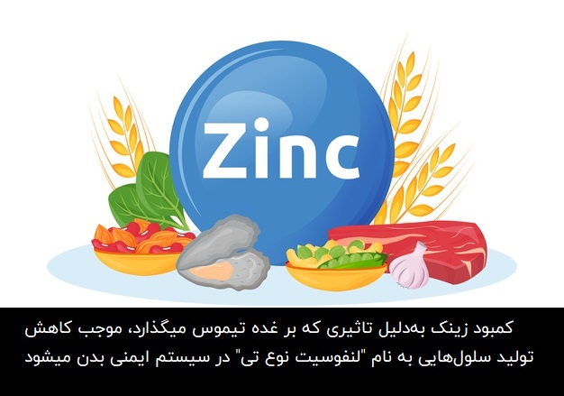 zinc boost immune system